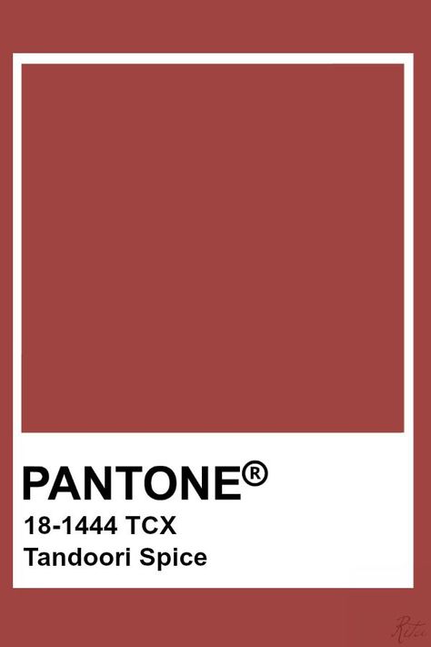 Pantone Tandoori Spice Pantone Tcx, Pantone Red, Persimmon Color, Pantone Color Chart, Pantone Swatches, Pantone Colours, Pantone Palette, Pantone Colour Palettes, Color Pantone