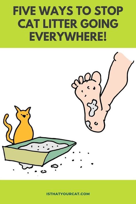 Treading on cat litter is unpleasant especially if you have bare feet. How can cat litter tracking be stopped?#… | Litter tracking, Cat litter mat, Best cat litter Stop Kitty Litter Tracking, Outside Cat Litter Box Ideas, Liter Box Ideas Cat, Cat Litter Solutions, Cool Cat Furniture, Cat Litter Tracking Solutions, Cat Items Products, Diy Kitty Litter Box Ideas, Cat Box Ideas Diy