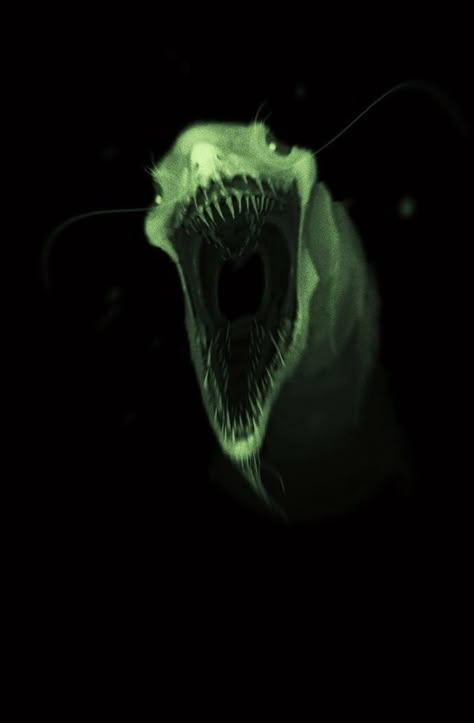 Underwater Horror Art, Scary Underwater Art, Thalassophobia Monster, Creepy Ocean Creatures, Creepy Underwater Creatures, Scary Underwater Creatures, Thalassophobia Art, Underwater Scary, Creepy Sea Creatures