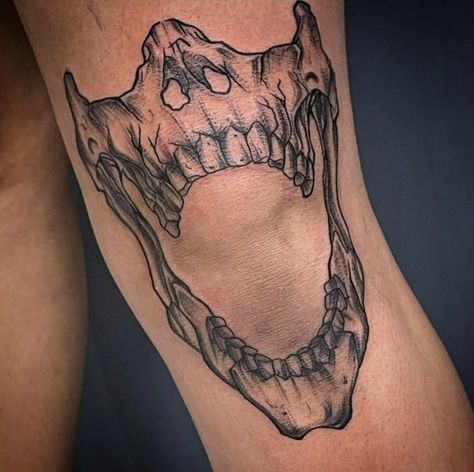 Skull Over Knee Tattoo, Bone Knee Tattoo, Knee Tattoo Men Skull, Skull Jaw Knee Tattoo, Jaw Knee Tattoos Women, Jaws Around Knee Tattoo, Jaws On Knee Tattoo, Skull Elbow Tattoo Men, Knee Skull Tattoo Men