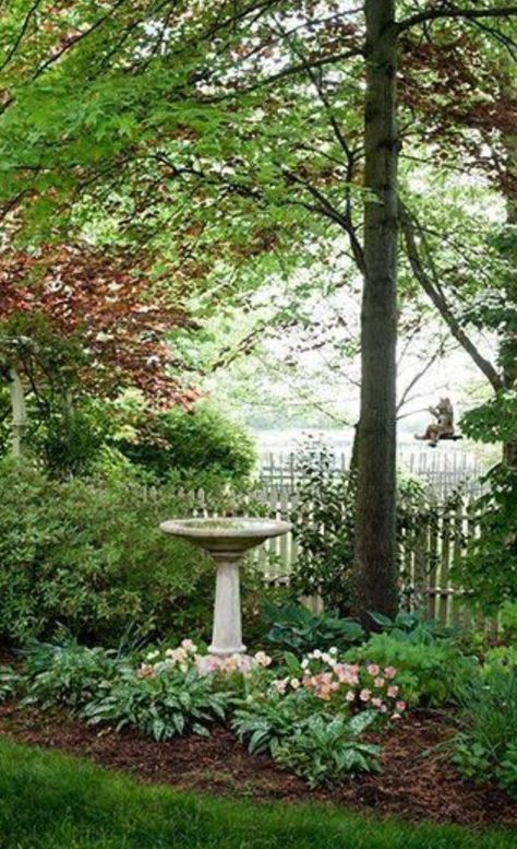 Funny Vine, Country Garden Decor, Garden Decoration Ideas, Shade Gardens, Trees And Flowers, Have Inspiration, Bird Baths, Flower Gardens, Side Yard