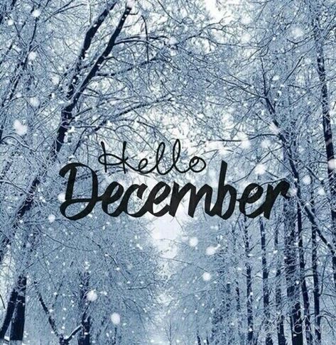 Hello December December Pictures, Neuer Monat, December Images, Welcome December, December Wallpaper, December Quotes, Monthly Quotes, Seasons Months, Happy December