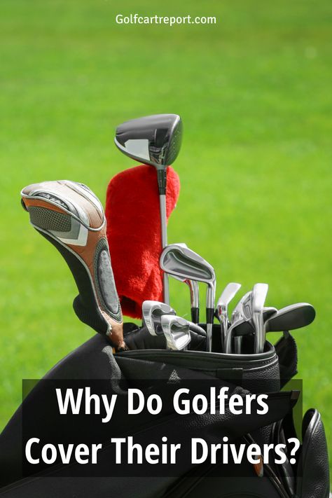 Golf Accessories For Men, Gifts For Golfers Men, Golf Storage, Driver Covers, Golf Drills, Golf Rules, Gifts For Golfers, Golf Accessories, Fast Track