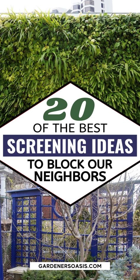 Backyard Garden Wall Ideas, Privacy Fence Ideas For Close Neighbors, Inexpensive Backyard Privacy Ideas, Privacy Fence Deck Ideas, Create Privacy On Deck, Diy Metal Privacy Screen Outdoor, Outdoor Screens Ideas, Trellis For Privacy Screens, Trellis Screening Ideas