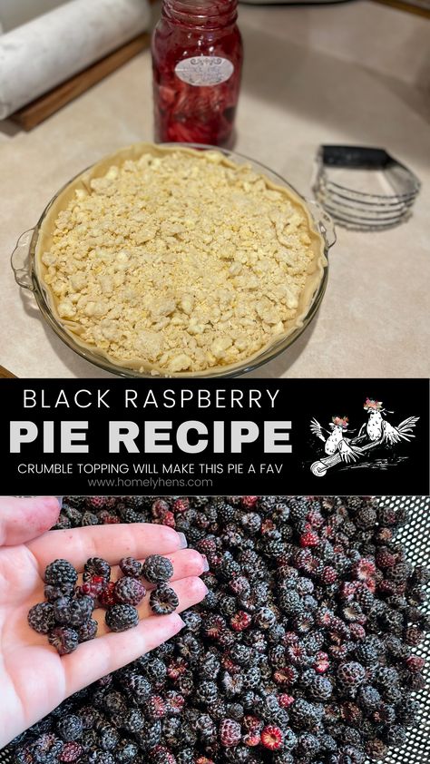 Homemade Raspberry Pie Filling, Black Raspberry Pie Recipe, Fresh Black Raspberry Recipes, Black Raspberry Pie Filling, Red Raspberry Recipes, Raspberry Pie Filling Recipes, Black Raspberry Cobbler, Black Raspberry Pie, Black Raspberry Recipes