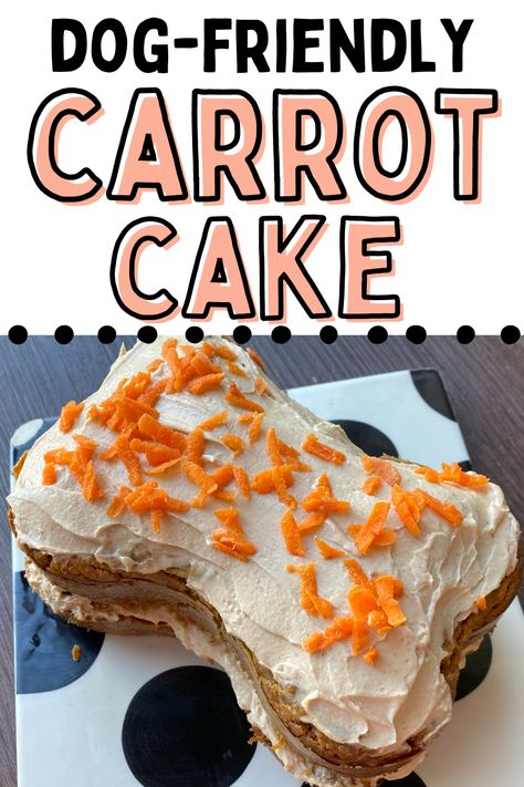 Are you looking for more homemade dog treats? Look no further, this carrot cake for dogs is made of dog-safe ingredients and an easy recipe to follow. Perfect for dog birthdays or gotcha days! Carrot Cake For Dogs Recipe, Dog Cake Recipe Easy, Doggie Desserts, Dog Treats Frozen, Dog Cake Recipe, Dog Friendly Cake, Healthy Homemade Dog Treats, Cake For Dogs, Easy Homemade Dog Treats