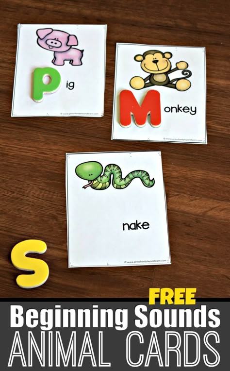 FREE Beginning Sounds Animal Cards - super cute phonics activity for preschool and kindergarten age kids #phonics #alphabet #preschool Beginning Sound Picture Cards, Phonic Activities Preschool, Phonics Activities Preschool, Phonics Preschool, Preschool Literacy Activities, Alphabet Sound, Magnet Letters, Kids Phonics, Phonics Alphabet