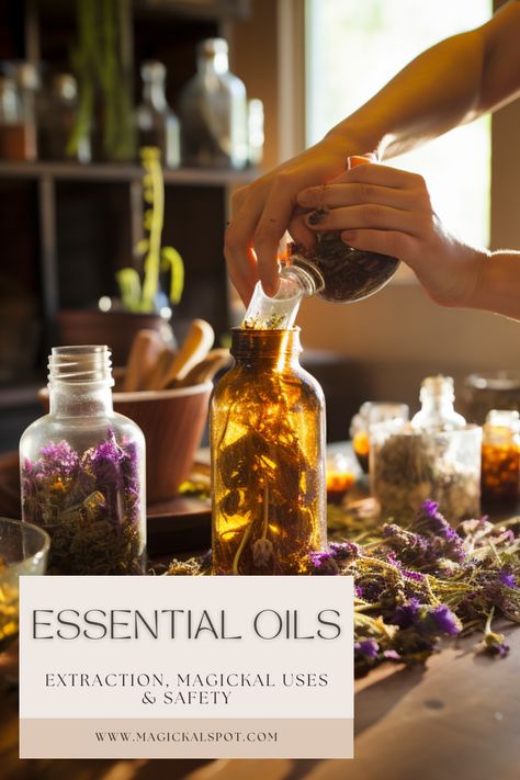 Discover the enchanting world of essential oils with our definitive guide, "Essential Oils: Extraction, Magickal Uses & Safety"! 🌿🔮 Unlock the mystical properties and practical applications of these potent elixirs. Learn about their extraction processes, magical uses, and essential safety guidelines. Immerse yourself in the aromatic allure of nature’s essence, and enhance your magical practices and daily life with the wisdom of oils. ✨🌺 #EssentialOils #MagickalUses #NaturalWellness Diy Elixir, Cleansing Spells, Herbs Medicine, Oil Extraction, Apothecary Style, Essential Oil Extraction, Magickal Herbs, Moon Water, Green Magic