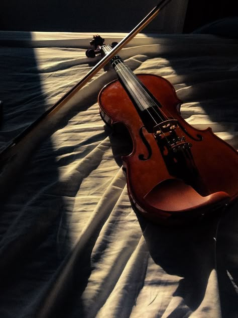 Violin Asthetic Picture, Fiddle Aesthetic, Aline Core, Violin Pictures, Aesthetic Violin, Violin Aesthetic, Jascha Heifetz, Violin Photography, Violin Teaching