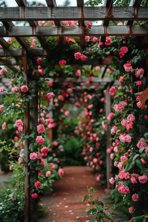 Charming Rose Trellis Ideas for Your Garden Oasis Climbing Roses On Pergola, Climbing Rose Trellis Ideas, Townhouse Garden Ideas, Rose Trellis Ideas Diy, Rose Trellis Ideas, Functional Backyard, Obelisk Trellis, 1920s Home, Small Urban Garden