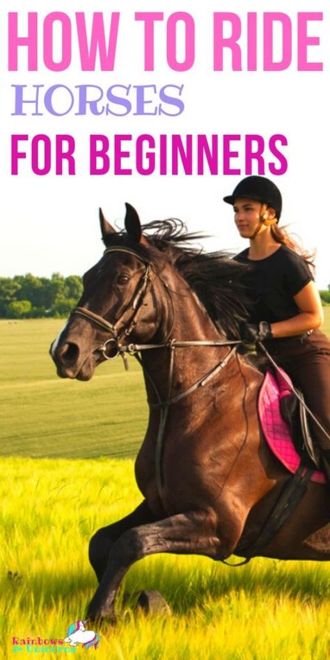 How To Ride Horses Tips, Learning To Ride A Horse, Horse Riding For Beginners, How To Ride A Horse For Beginners, Tips For Riding Horses, English Riding Tips, Horse Tips For Beginners, Horse Riding Tips For Beginners, Horse Beginner