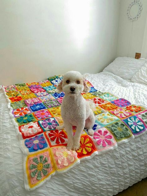 Flower Square Crochet Blanket, Charity Daisy Square Blanket, Crochet Charity Daisy Square, Crochet Blanket Flower Granny Square, Daisy Square Crochet Blanket, Crochet Projects Shirt, Diy Granny Square Blanket, Granny Square Crochet Blanket Aesthetic, Aesthetic Granny Square Blanket