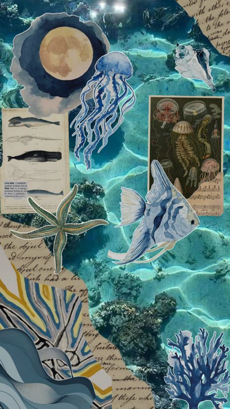 Ocean collage Collage Ocean Art, Marine Biology Collage, Ocean Moodboard Aesthetic, Under The Sea Collage, Beach Collage Art, Ocean Collage Wallpaper, Sea Art Drawing, Collage Infographic, Zine Collection