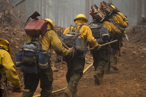 Managing Fire | US Forest Service Deadpool Images, Wildland Firefighting, Firefighter Pictures, Us Forest Service, Aviation Technology, Wildland Fire, Fire Wife, Wildland Firefighter, Happy Camp