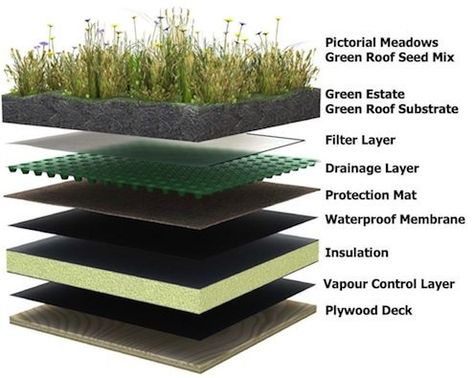 Green Roof House, Earth Sheltered Homes, Casa Hobbit, Grass Roof, Earth Sheltered, Living Roofs, Green Roofs, Roof Construction, Roof Architecture