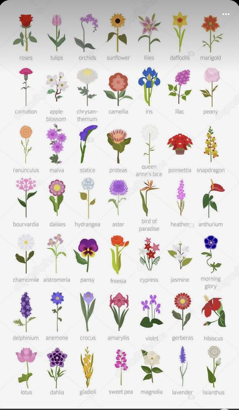 Pretty Flower Names, Flower Chart, نباتات منزلية, Most Popular Flowers, Different Types Of Flowers, Flower Guide, Popular Flowers, Flower Meanings, Garden Guide