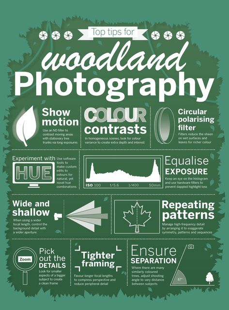 Best Professional Camera, Photography Infographic, Photography Digital Camera, Photography Cheat Sheet, Woodland Photography, Manual Photography, Photography Settings, Camera World, Photography Cheat Sheets