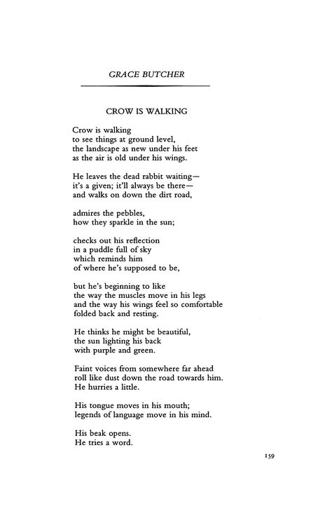 A poem by Grace Butcher, featured in Poetry Magazine Crow Poem, Crow Poetry, Billy Collins, Poetry Magazine, Poetry Foundation, Under His Wings, How To Be Graceful, A Poem, By Grace