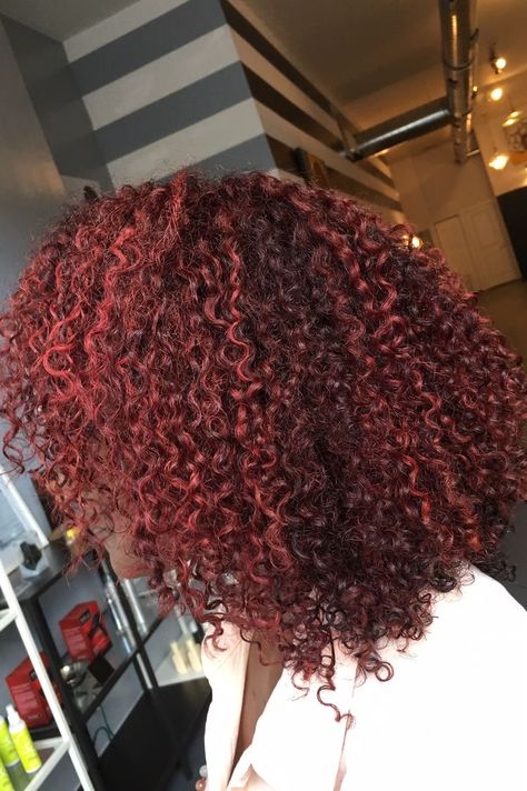 Black Cherry Hair Color Curly Hair, Afro Hair Dye, Cherry Hair Colors, Curly Afro Hair, Curly Hair Fade, Dyed Curly Hair, Highlights Curly Hair, Girl Hair Colors, Wine Hair