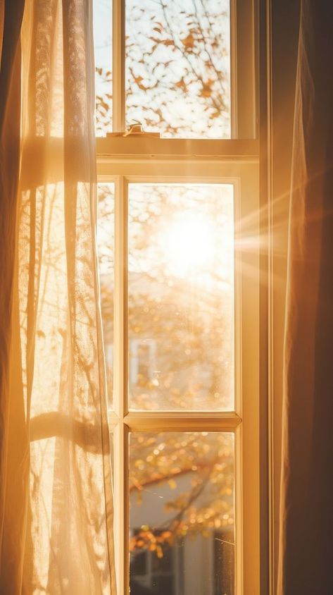 Day Light Aesthetic, Sunlight Room Aesthetic, Window With Sunlight, Sunlight Shadow Photography, Sunlight Coming Through Window, Dreamy Vibes Aesthetic, Light Astethic, Sunbeams Aesthetic, Window Wallpaper Aesthetic