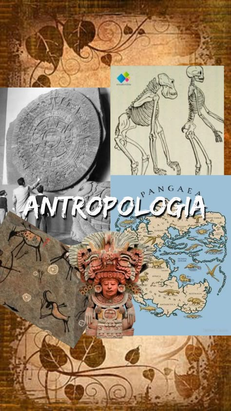 Anthropology Collage, Anthropology Major Aesthetic, Cultural Anthropology Aesthetic, Anthropology Wallpaper, Anthropologist Aesthetic, Compass For Drawing Circles, Archaeologist Aesthetic, Archeologist Aesthetic, Anthropology Degree