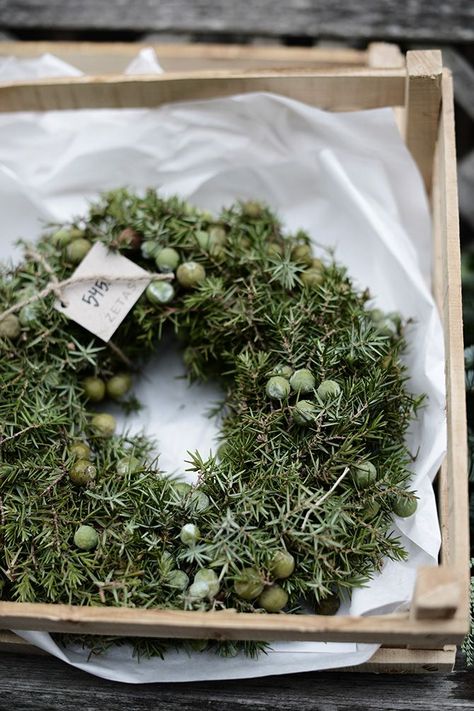 Welcome December, Evergreen Wreath, Floral Crowns, Christmas Tablescape, Natural Christmas, Deco Floral, Kwanzaa, Scandinavian Christmas, Christmas Deco