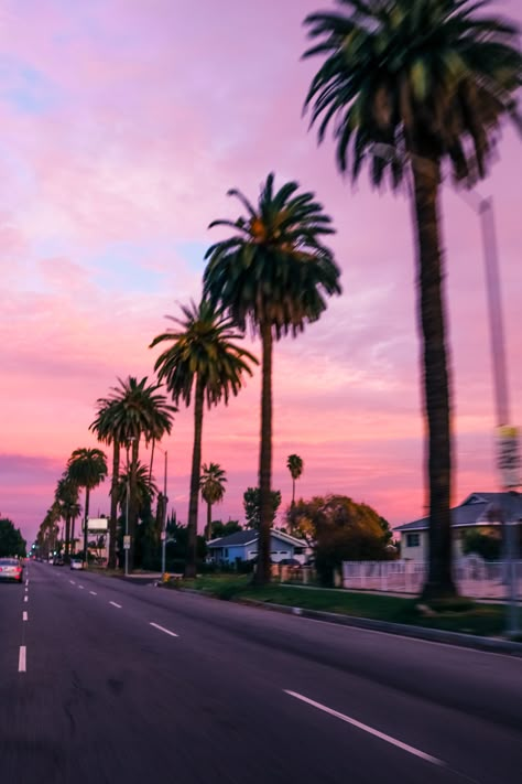 Pink Street Aesthetic, Pink Los Angeles Aesthetic, Pink California Aesthetic, Los Angeles Pink Aesthetic, Pink Los Angeles, Pink Wall Los Angeles, Pink Hour, Pretty Skys, Palm Trees Sunset Wallpaper