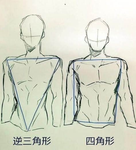 Seni Dan Kraf, Body Sketches, Body Drawing Tutorial, Anatomy Sketches, Body Anatomy, Tutorials Drawing, Anatomy Drawing, Body Drawing, Drawing Stuff