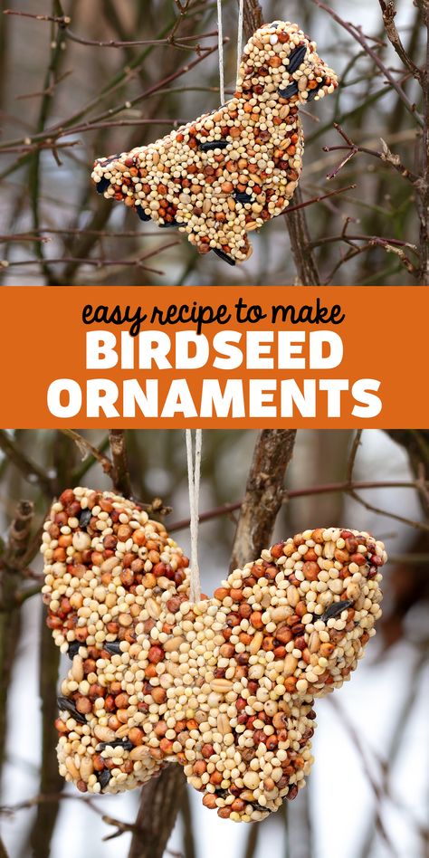 Diy Birdseed Ornaments, Bird Seed Ornaments Recipe, Birdseed Ornaments, Bird Seed Ornaments, Bird Feeder Craft, Bird Seed Feeders, Bird Treats, Homemade Bird Feeders, Food Ornaments