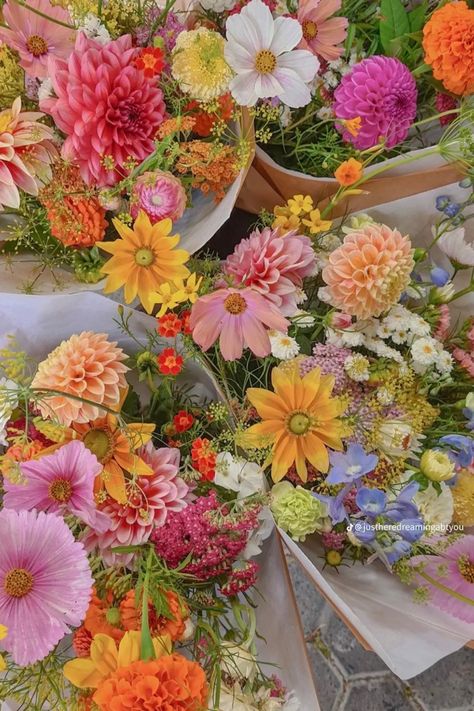 숲 사진, Boquette Flowers, Nothing But Flowers, Flower Therapy, Beautiful Bouquet Of Flowers, Spring Vibes, Beautiful Bouquet, Love Flowers, My Flower