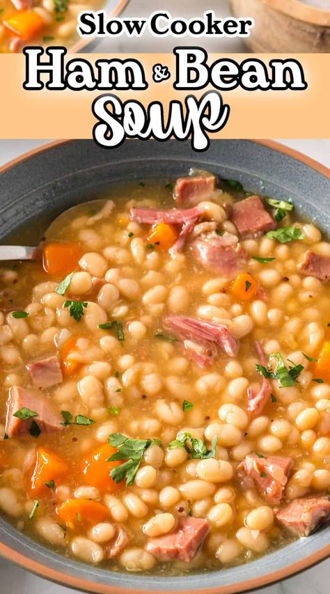 Learn how to make a delicious and hearty crockpot ham and bean soup with this easy recipe. You'll dive into a bowl of homemade goodness with this perfect comfort food for a cozy night in. An easy slow cooker soup recipe and great use of leftover ham. Navy Bean Recipes, Bean Soup Crockpot, Crockpot Ham And Beans, Beans And Ham, Leftover Easter Ham, Homemade French Onion Soup, Navy Bean Soup, Lamb Stew Recipes, Ham And Bean