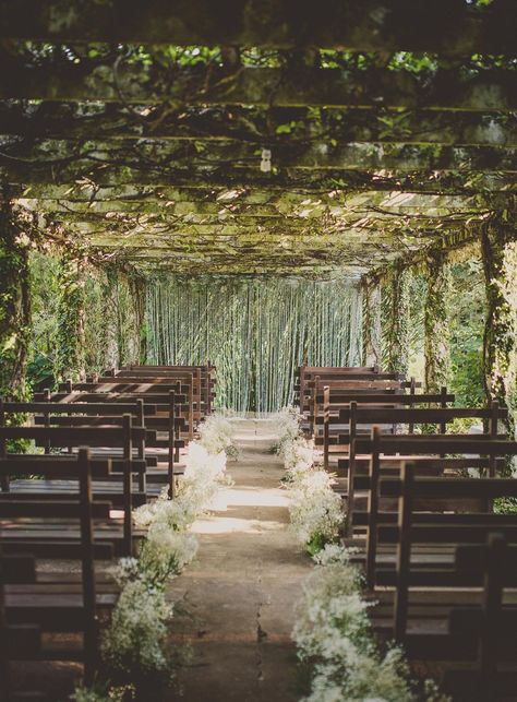 25 Lush Secret Gardens, Glasshouses & Greenhouses | Bellefield Greathouse & Gardens Wedding Aisle Outdoor, Wedding Aisles, Garden Chic Wedding, Destination Wedding Locations, Wedding Ceremony Ideas, Mod Wedding, Wedding Aisle, Outdoor Wedding Ceremony, Outdoor Wedding Venues