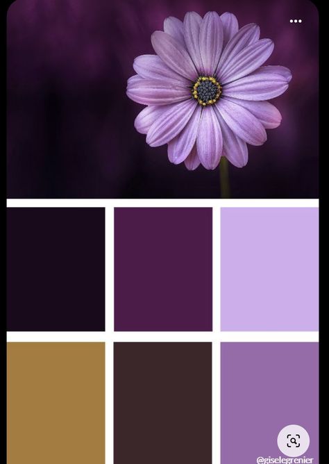 Violet Color Palette, Alizarin Crimson, Purple Color Palettes, Colour Mixing, Ultramarine Blue, Dark Violet, Color Schemes Colour Palettes, Shade Flowers, Flowers Purple