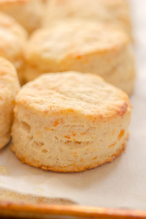 Buttermilk Parmesan Biscuits recipe is the perfect addition to any dinner or breakfast. A bit salty, a bit tangy and a whole lot of good. Make them today. Southern Buttermilk Biscuits, Buttermilk Biscuits Recipe, Southern Biscuits, Best Banana Pudding, Baking Breads, Country Cook, The Country Cook, Cats Quotes, Biscuits Recipe