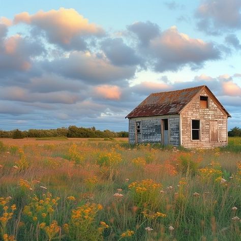 As the day draws to a close, the soft glow of the setting sun casts a warm light over an abandoned house that has stood the test of time. Surrounded by a sea of wildflowers, the timeworn structure holds the secrets of a bygone era, its weathered walls bearing witness to countless sunsets. This tranquil scene captures the essence of rural abandonment and the unstoppable march of nature as it reclaims its space. Rural Scenes Photography, House Reference Photo, House In Flower Field, Rural Landscape Photography, House Landscape Photography, Reference Photos Landscape, House In Field, Rural Aesthetic, Country Scenery