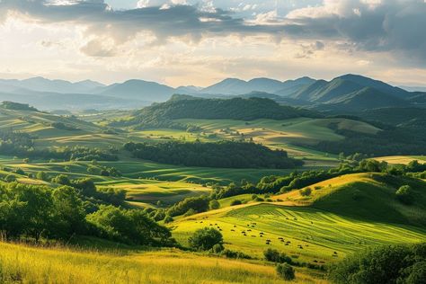 Mountains with field landscape grassland panoramic. | premium image by rawpixel.com Grass Scenery, Fantasy Grassland Landscape, Hills Background, Grass And Trees Background, Sky And Grass Background, Rice Paddy, Download Free Images, Background Images, Poster Design