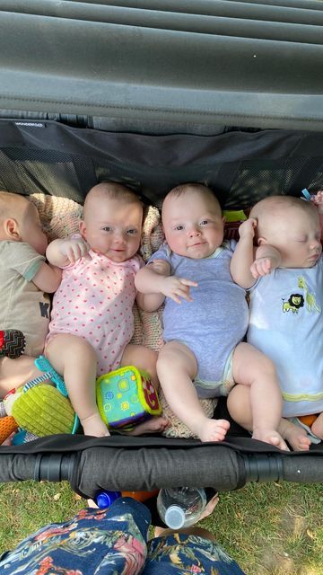 Lena Young on Instagram: "Updated then and now 🥰 Crazy these sweet babies are almost seven months old! 🥲 . . . #twins #quadruplets #momlife #momreels #mama #sahm #pregnant #pregnancy #pregnantbelly #baby #babies #babiesofinstagram #mom #postpartum #largefamily #thankful" Quadruplets Nursery, Quadruplets Belly, Quadruplets Babies, 4 Months Pregnant Belly, Joseph Core, Triplet Pregnancy, Pregnant With Triplets, Triplets Pregnancy, Embryo Adoption