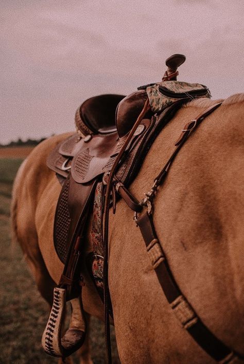 Horseback Riding Aesthetic Western, Horseback Riding Western, Western Equestrian Aesthetic, Palomino Horse Aesthetic, Aesthetic Horse Wallpaper, Horses Drawings, Horse Draw, Horses Drawing, Aesthetic Horse