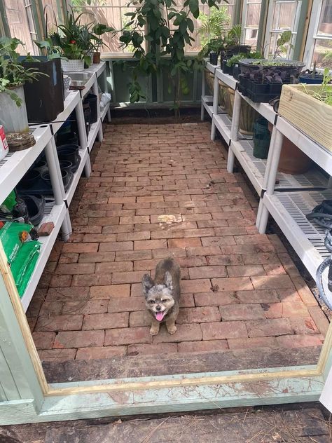 Greenhouse Floor Ideas, Greenhouse Floor, She Shed Greenhouse, Farm Greenhouse, Greenhouse Base, Tiny Backyard, Shed Floor, Green Houses, Backyard Greenhouse