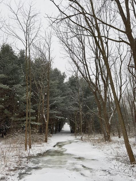 looks like the folklore forest 🫶 Folklore Cabin, Folklore Forest, Folklore Aesthetic, Cabin Aesthetic, Ocean Blue Eyes, On The Train, I Miss U, I Want To Travel, Miss U