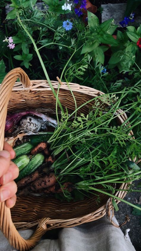 Year Round Garden, New England Farm, Farm Vibes, Harvest Garden, Gardener Aesthetic, Simple Cottage, Gardening Aesthetic, Round Garden, Summer Gardening