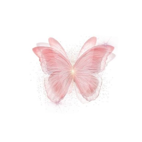 Pink Butterfly, White Background, Pink, White