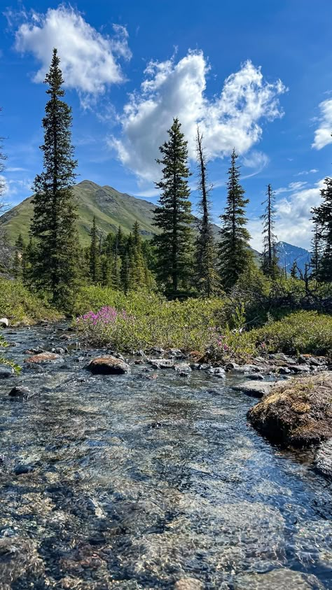 Camping Aesthetic Outfits, Granola Girl Aesthetic Outfits, Granola Girl Summer, Alaska Nature, Granola Girl Outfits, Place Aesthetic, Granola Style, Places Aesthetic, Usa Nature