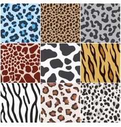 Animal skin texture set Royalty Free Vector Image Skin Drawing, Greek Pattern, Arte Folk, Tattoos Geometric, Giraffe Pattern, Animal Print Pattern, Skin Pattern, Animal Prints Pattern, Pattern Tattoo