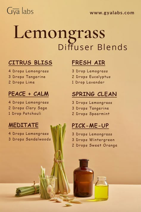 A bottle of Lemongrass essential oil blend surrounded by fresh lemongrass leaves and a diffuser, with the text "Lemongrass Essential Oil Blend for Refreshing Citrus Aromatherapy" displayed in a modern and vibrant style. Lemongrass Diffuser Blends, Essential Oil For Skin, Diffuser Hair, Oils For Diffuser, Top Essential Oils, Essential Oil Combinations, Doterra Essential Oils Recipes, Essential Oil Diffuser Blends Recipes, Essential Oils Guide