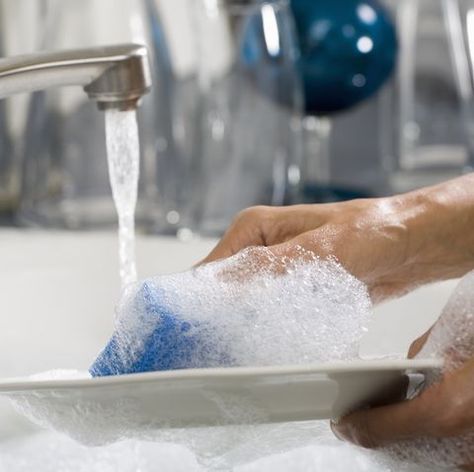 Hands washing a plate Washing Plates, Engineering Poster, Dishwasher Filter, Dishwasher Tabs, Dishwasher Cleaning, Cleaning Your Dishwasher, Books 2024, Miele Dishwasher, Dishwasher Cleaner