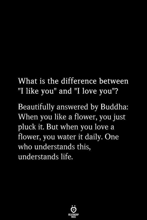 What is the difference between "I like you" and "I love you"? Beautifully answered by Buddha: When you like a flower, you just pluck it. But when you love a flower, you water it daily. One who understands this, understands life. Amelia Earhart, And I Love You, What Is The Difference Between, Relationship Rules, When You Love, I Like You, Reality Quotes, Wise Quotes, True Words