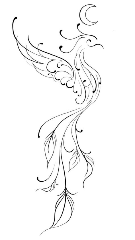 Phonex Tattoo Designs, Phonex Tattoo Drawings, Fineline Phoenix Tattoo, Phoenix Drawing Tattoo, Phoenix Tattoo Feminine Back, Phoinex Tattoos, Phonex Tattoo, Phoenix Tattoo Design Feminine, Black And White Rose Tattoo