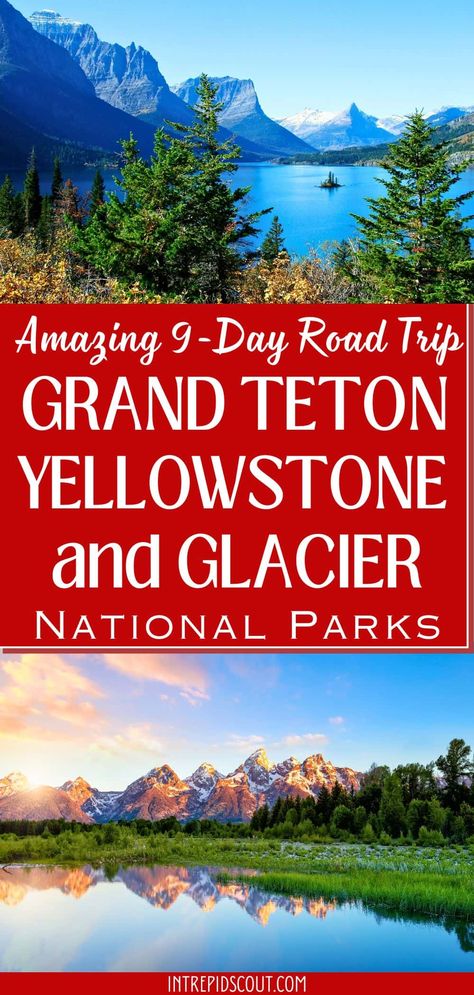 9-Day Grand Teton, Yellowstone, and Glacier Road Trip Yellowstone And Glacier National Park Itinerary, Yellowstone To Glacier Road Trips, Jackson Hole Yellowstone Itinerary, Yellowstone And Glacier Road Trip, Yellowstone Trip Planning, Yellowstone Road Trip Itinerary, Wyoming Montana Road Trip, Yellowstone Vacation Planning, Yellowstone Road Trip