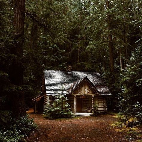 All I Need is a Rustic Little Cabin in the Woods (35 Photos) - Suburban Men Old Log Cabin, Little Cabin In The Woods, Forest Cabin, Cottage Cabin, Cabin Living, Cottage In The Woods, Little Cabin, Cabin In The Woods, Cabins And Cottages